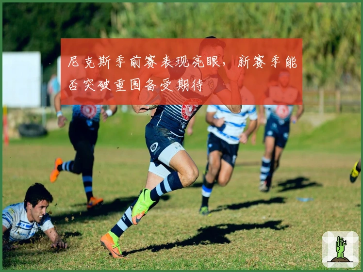 尼克斯季前赛表现亮眼，新赛季能否突破重围备受期待