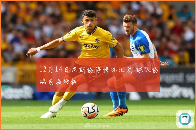 12月14日尼斯伤停情况汇总 球队伤病或成短板