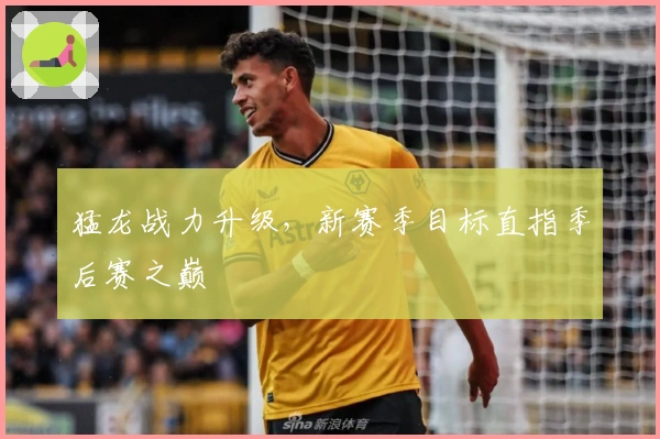 猛龙战力升级,新赛季目标直指季后赛之巅