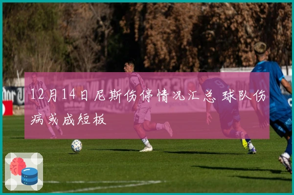 12月14日尼斯伤停情况汇总 球队伤病或成短板